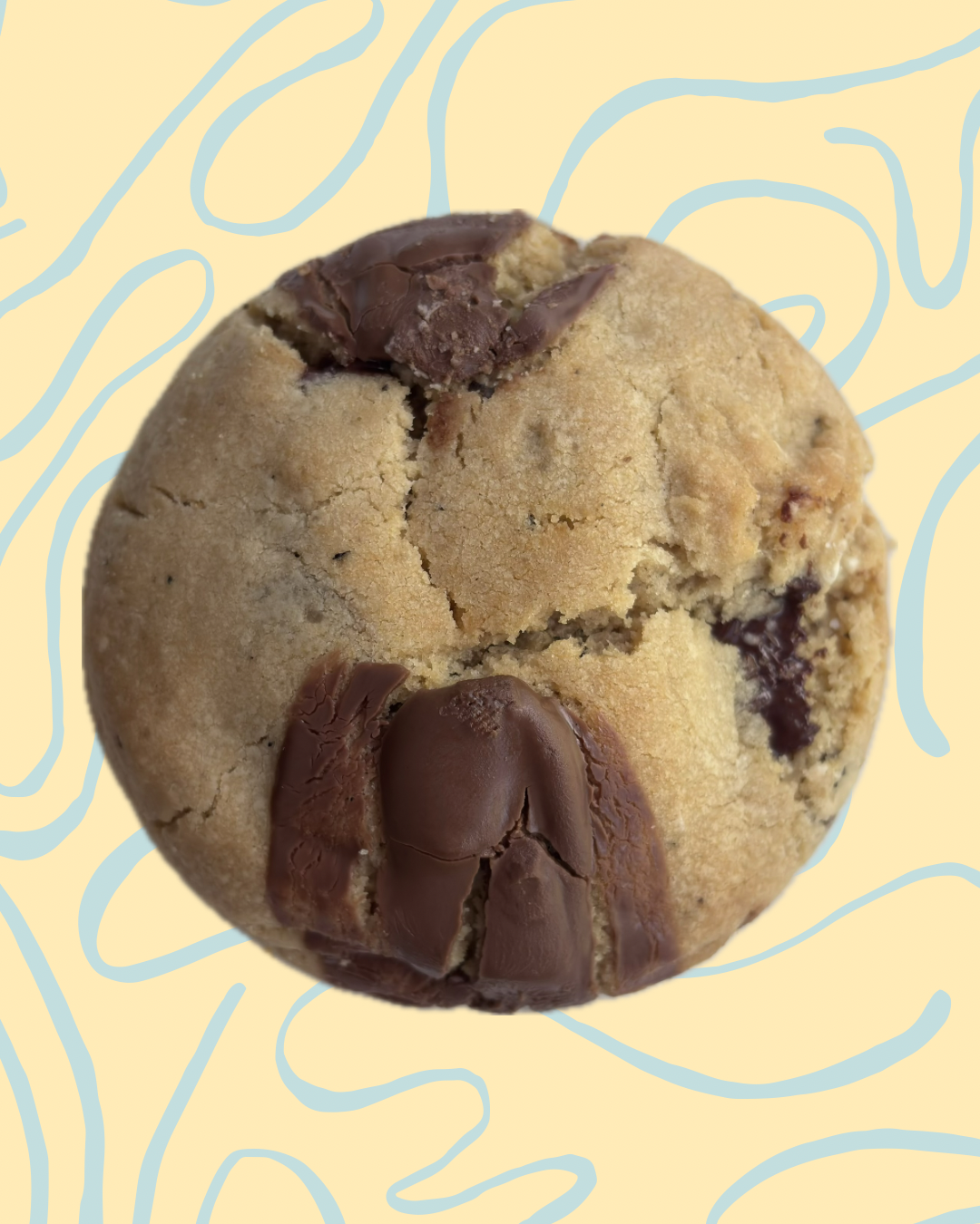 Chocolate chip cookie