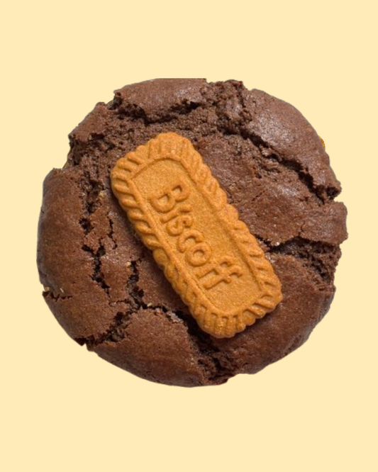 Mocha Biscoff